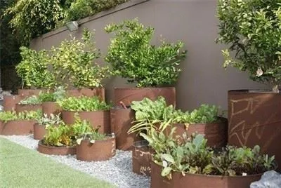 Disposizione dei bordi del prato in giardino